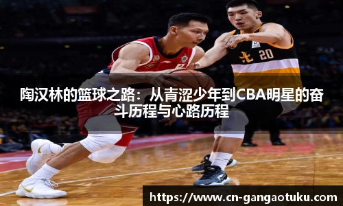 陶汉林的篮球之路:从青涩少年到CBA明星的奋斗历程与心路历程